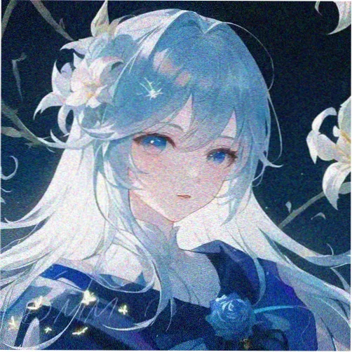 主评人阿岚头像