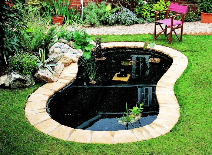 Pond garden plants water ideas backyard ponds landscaping planting stream waterfall gorgeous variety will diy natural fish paradise hometalk tips